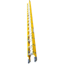 FX2-32 Extension Ladder